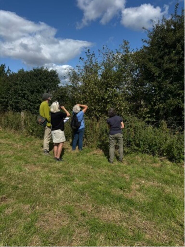 When is a hedge not a hedge? Manor Farm