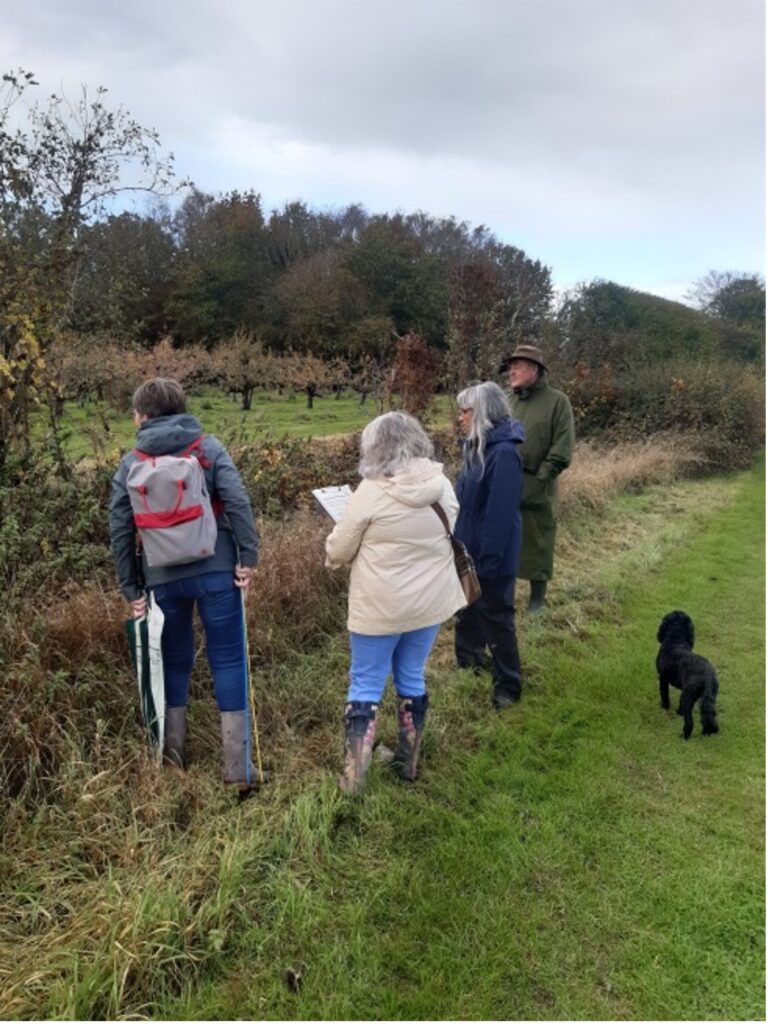 Inspecting hedgerow margins, Little Mill Farm